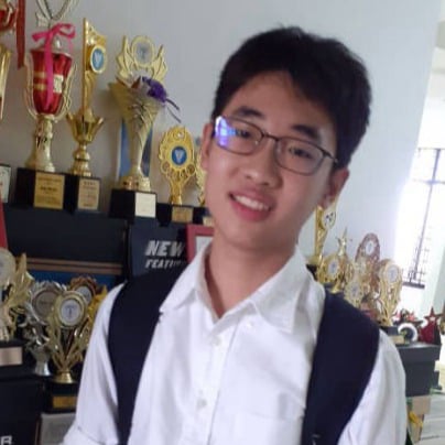 Han Cheng You | Hippo Olympiad 2020